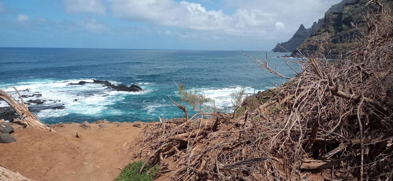 Playa Y Montana: Naturaleza Y Armonia La Laguna  Eksteriør billede